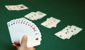 Sắc Tê Tại Nhà Cái KuWin